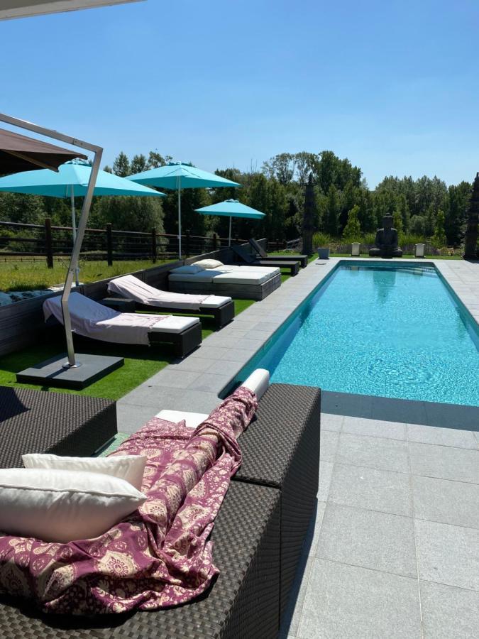 B&B La Douceur De La Miclette Ellezelles Екстер'єр фото